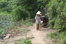 Bình Định: Người đô thị mòn mỏi đợi đường bê tông