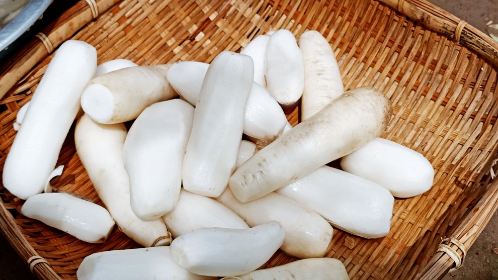 Tự trồng, thu hoạch và làm món củ cải trắng ngâm tương - 2 Tự trồng, thu hoạch và làm món củ cải trắng ngâm tương - 2