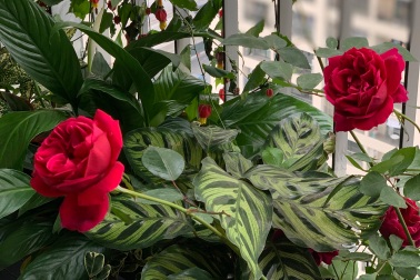 Bỏ vợ lấy bồ xinh, hai năm sau qua nhà vợ cũ, tôi khóc không thành tiếng