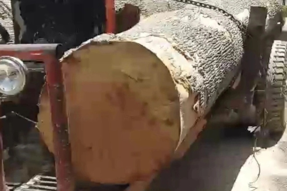 Hàng chục đối tượng hung hãn dùng hung khí bao vây cướp gỗ tang vật - 1 Hàng chục đối tượng hung hãn dùng hung khí bao vây cướp gỗ tang vật - 1