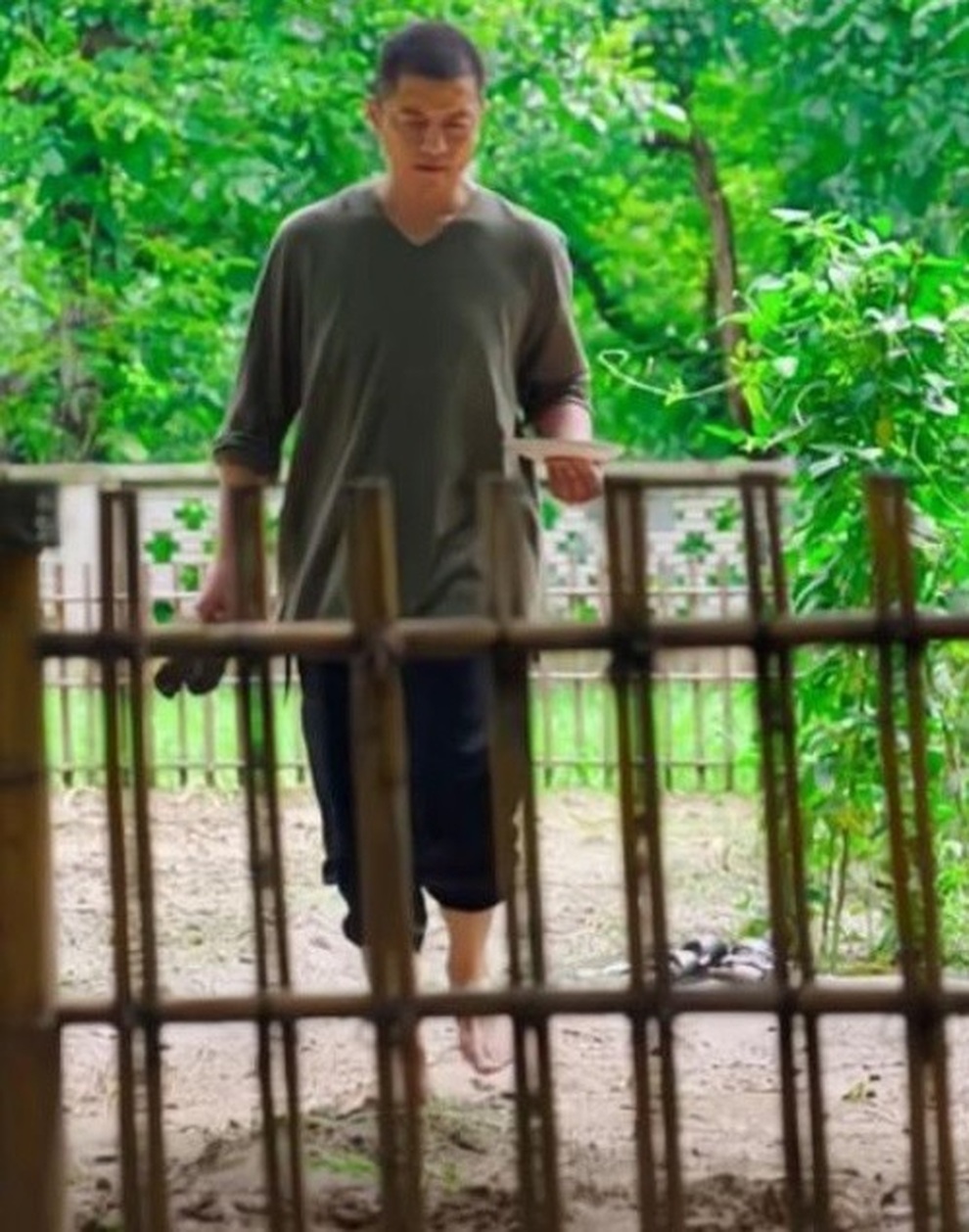 Làm ăn thua lỗ, Lý Á Bằng bỏ phố về quê làm nông dân - 4 Làm ăn thua lỗ, Lý Á Bằng bỏ phố về quê làm nông dân - 4