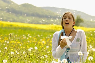 Khám phá những dị nguyên gây dị ứng