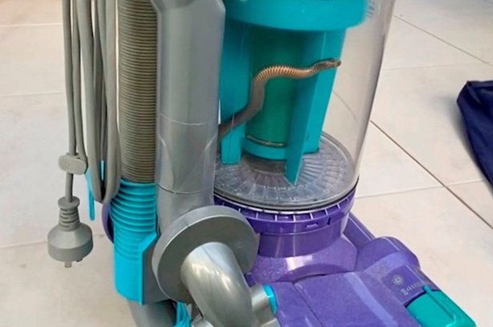 Cặp đôi dùng chiêu độc để đối phó khi thấy rắn độc bò vào nhà - 1