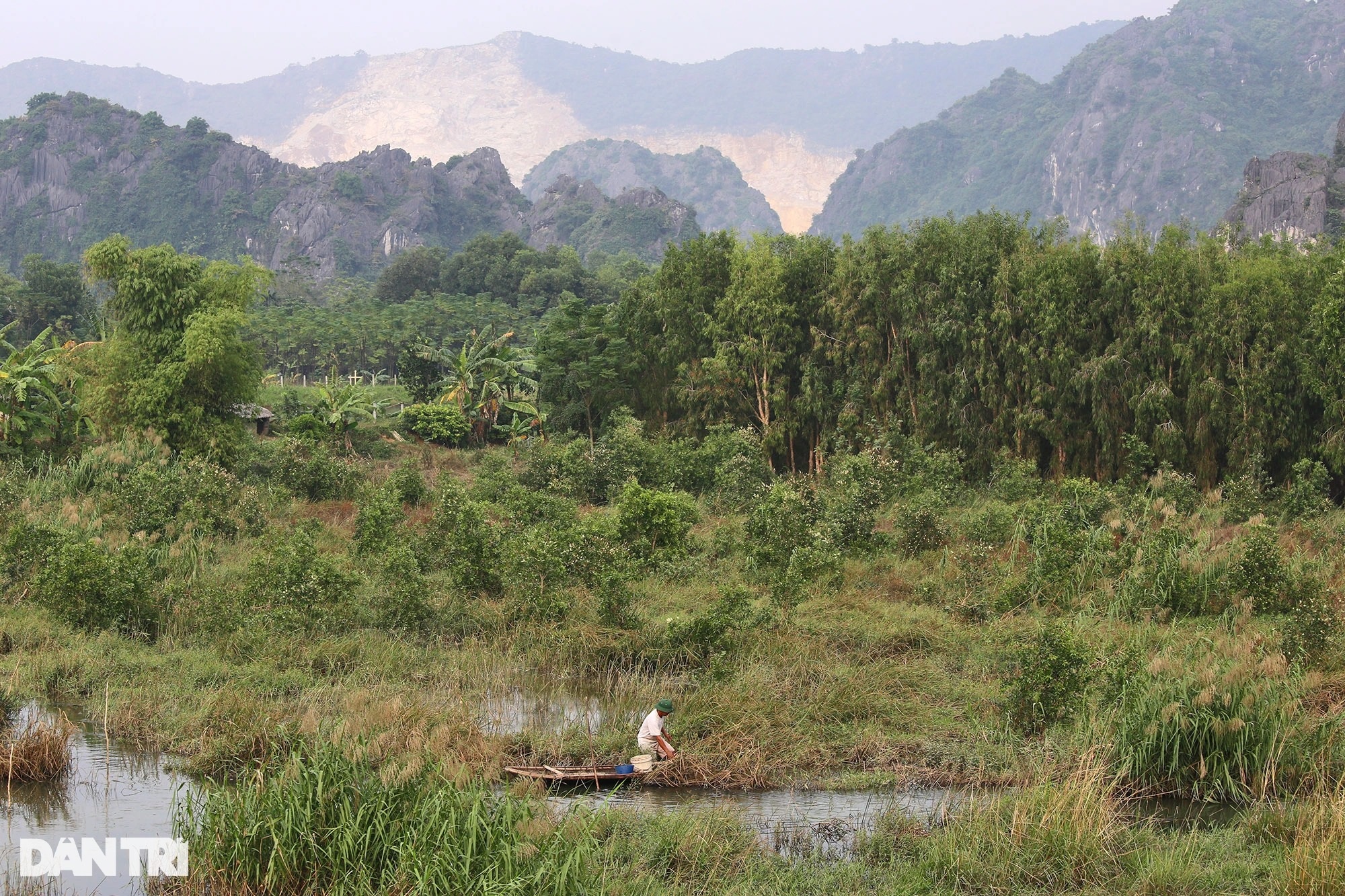 Phong cảnh hoang sơ của vùng đất ngập nước lớn nhất châu thổ sông Hồng - 5 Phong cảnh hoang sơ của vùng đất ngập nước lớn nhất châu thổ sông Hồng - 5
