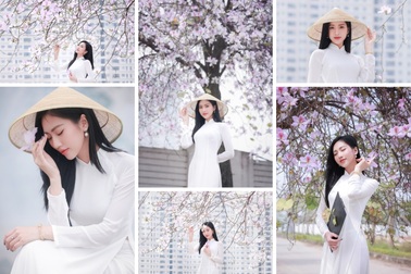 Dạo bước dưới hàng hoa ban thơ mộng ở Thủ đô