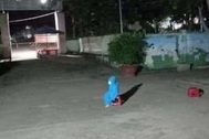 Xót lòng hình ảnh những em bé trong đêm phải vào khu cách ly Covid-19