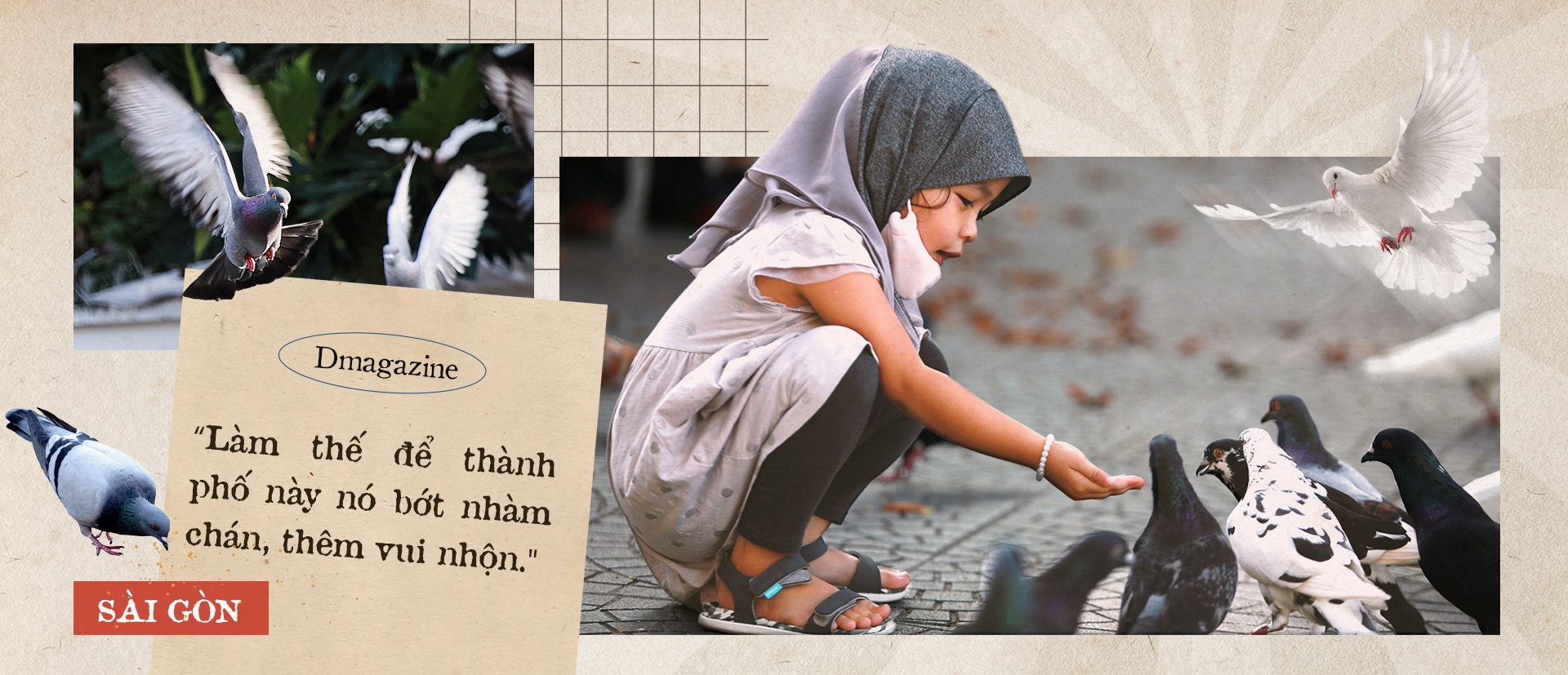 Chú bồ câu một chân và bảo mẫu hơn 10 năm nuôi chim trời ở Nhà thờ Đức Bà - 5 Chú bồ câu một chân và bảo mẫu hơn 10 năm nuôi chim trời ở Nhà thờ Đức Bà - 5