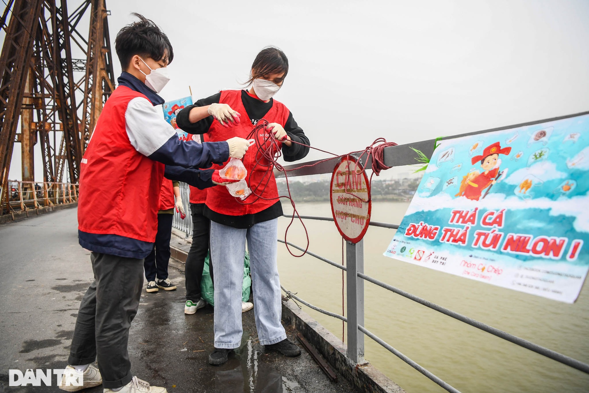 Hà Nội: Ngựa của ông Táo chưa kịp về trời đã ngửa bụng sau khi xuống nước - 4