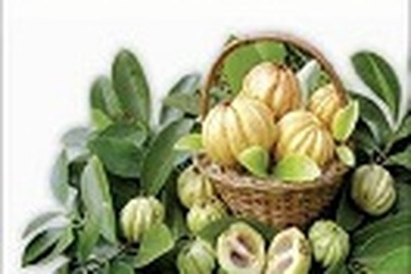 7 hoạt chất hiệu quả cho người thừa cân lâu năm