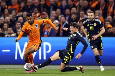 Hà Lan thắng đậm Scotland, Tây Ban Nha thua Colombia