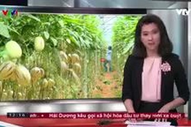 Thanh niên lập nghiệp bằng nông sản độc đáo