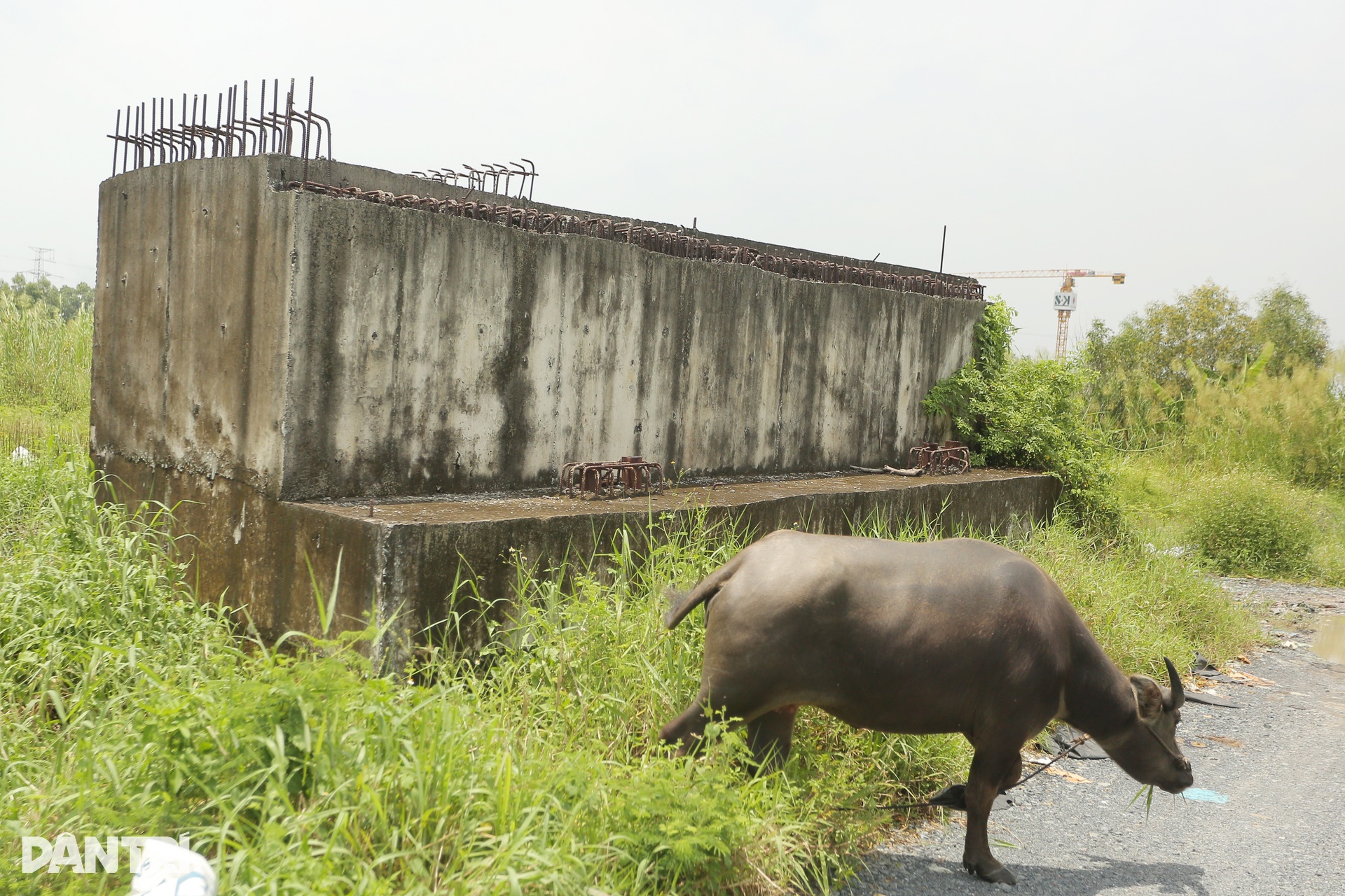 Hiện trạng dự án nối dài đường Võ Văn Kiệt từ TPHCM đi Tây Ninh - 8 Hiện trạng dự án nối dài đường Võ Văn Kiệt từ TPHCM đi Tây Ninh - 8