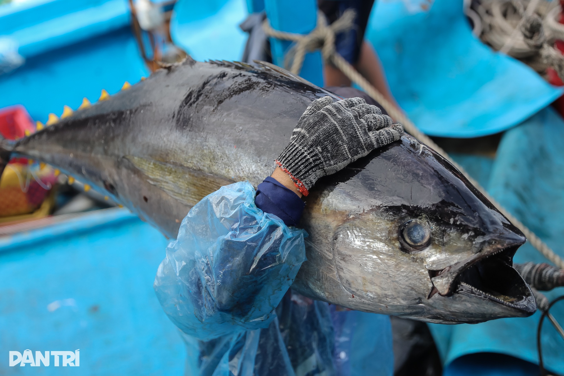 Ngư dân Đắk Lắk chạy đua ứng phó bão Kalmaegi - 10 Ngư dân Đắk Lắk chạy đua ứng phó bão Kalmaegi - 10
