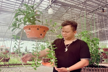 Chàng trai nghèo khởi nghiệp vươn lên làm giàu từ trồng hoa lan