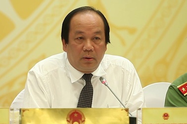 Buộc tái xuất lúa mì có lẫn cỏ dại: "Sai thẩm quyền, phải thu hồi"