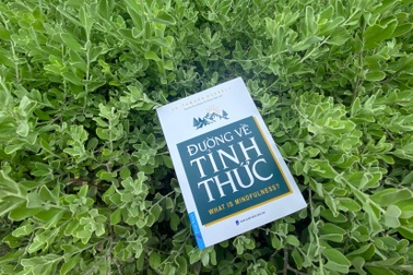 Đường về tỉnh thức giúp bạn sức mạnh nội tại vượt khó khăn, biến động