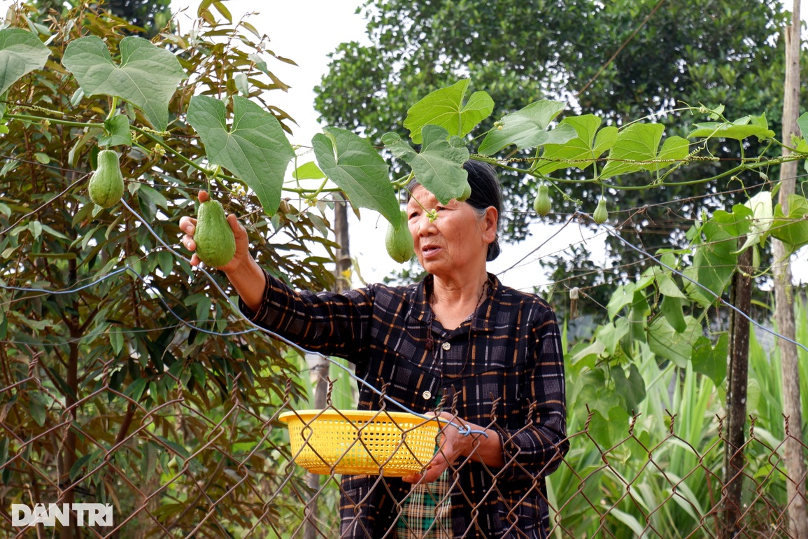 Xót xa mẹ già lặng lẽ lo hậu sự của 3 người con lần lượt mắc bệnh lạ - 9 Xót xa mẹ già lặng lẽ lo hậu sự của 3 người con lần lượt mắc bệnh lạ - 9