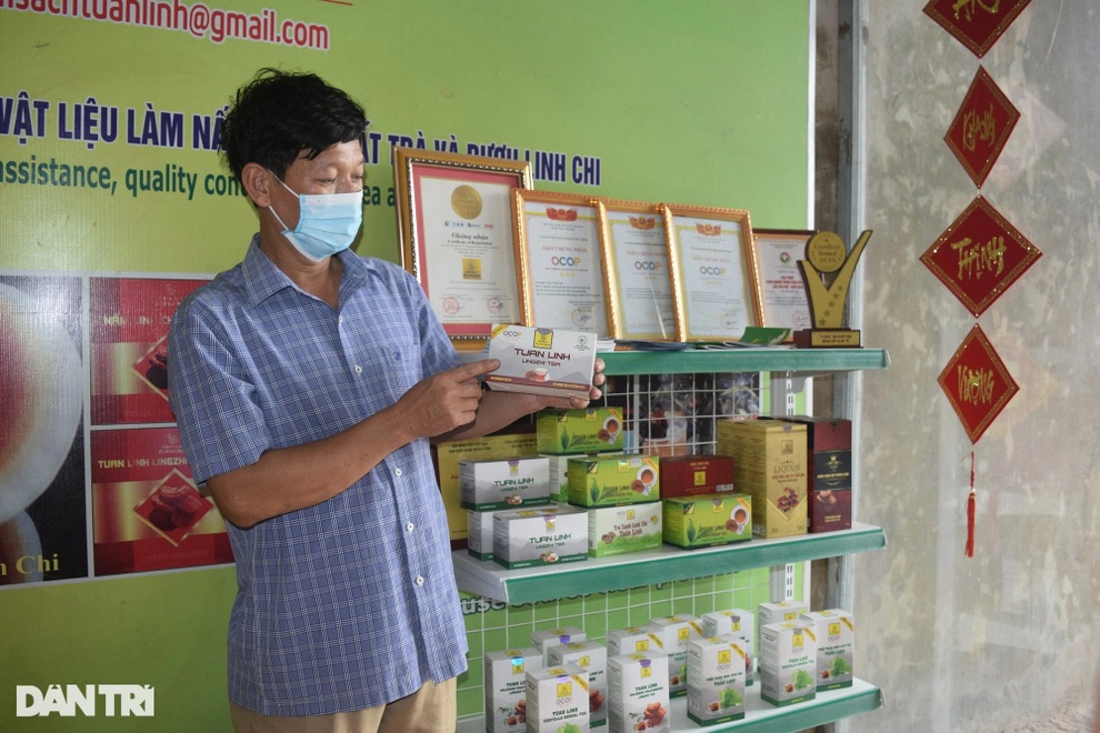 Kiếm tiền tỷ nhờ câu chuyện đi tìm nấm chữa bệnh cho bố - 3 Kiếm tiền tỷ nhờ câu chuyện đi tìm nấm chữa bệnh cho bố - 3