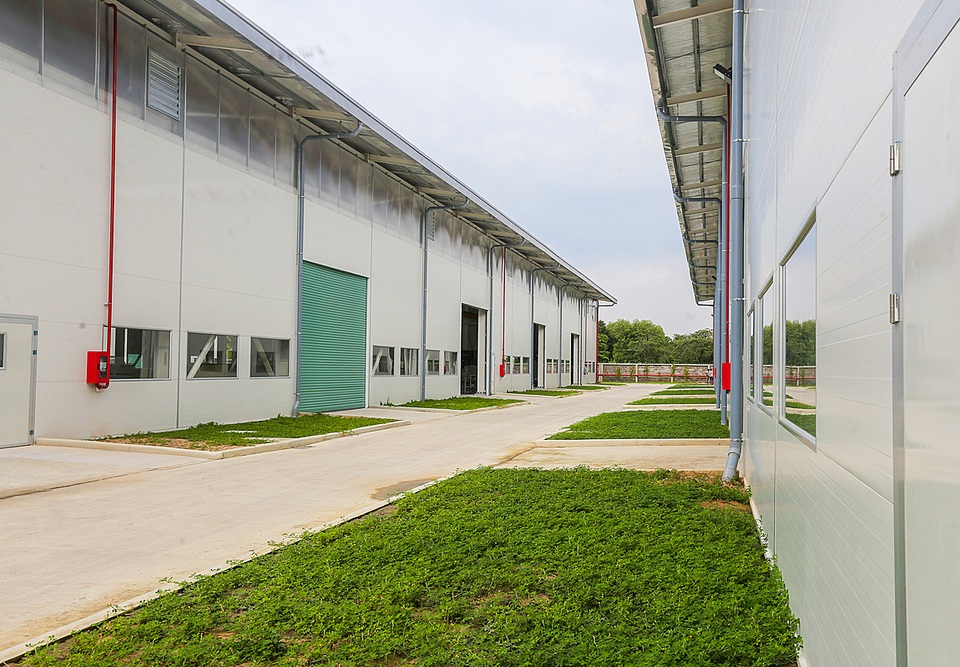 Nhà thép tiền chế kết hợp panel tối ưu chi phí cho nhà xưởng - 2 Nhà thép tiền chế kết hợp panel tối ưu chi phí cho nhà xưởng - 2