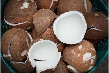 Lý do bạn nên ăn dừa khô