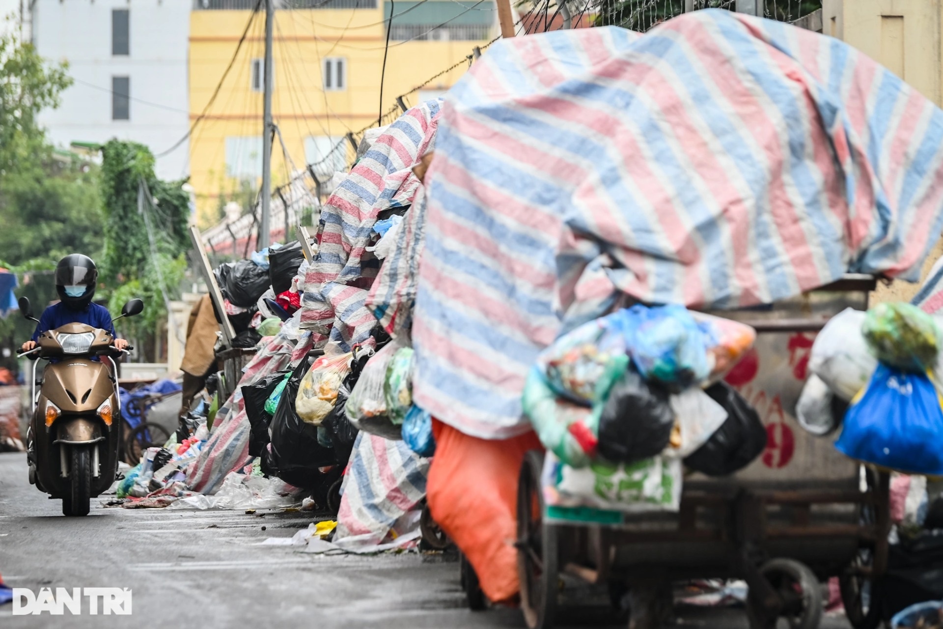 Rác thải ùn ứ, cao quá đầu người trên nhiều tuyến phố, khu dân cư ở Hà Nội - 7 Rác thải ùn ứ, cao quá đầu người trên nhiều tuyến phố, khu dân cư ở Hà Nội - 7