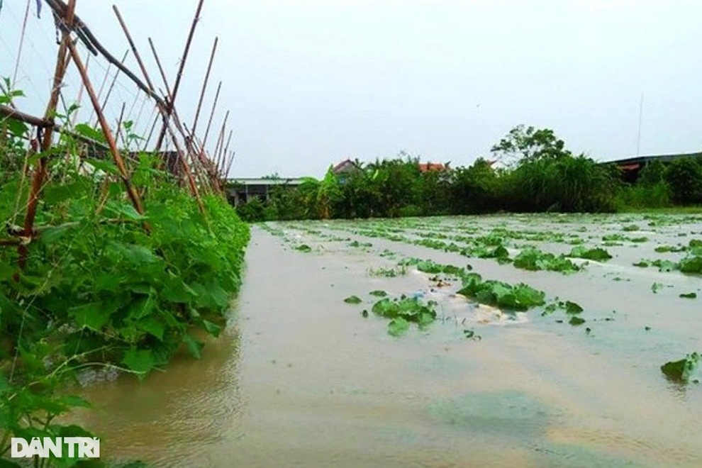 Hàng loạt thủy điện xả tràn, người dân vùng hạ du kéo nhau chạy lũ - 15 Hàng loạt thủy điện xả tràn, người dân vùng hạ du kéo nhau chạy lũ - 15
