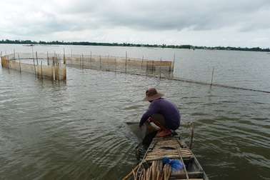 An Giang mạnh tay cấm khai thác cá “trời cho”