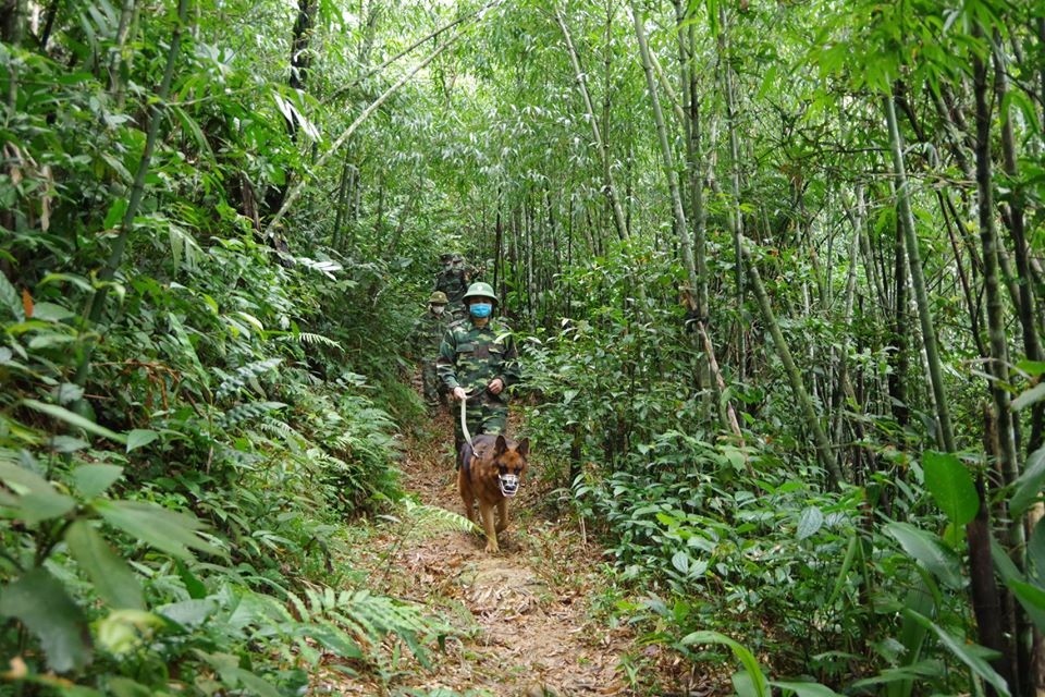 Chốt phòng dịch biên giới phát hiện 20 trường hợp nhập cảnh trái phép - 2 Chốt phòng dịch biên giới phát hiện 20 trường hợp nhập cảnh trái phép - 2