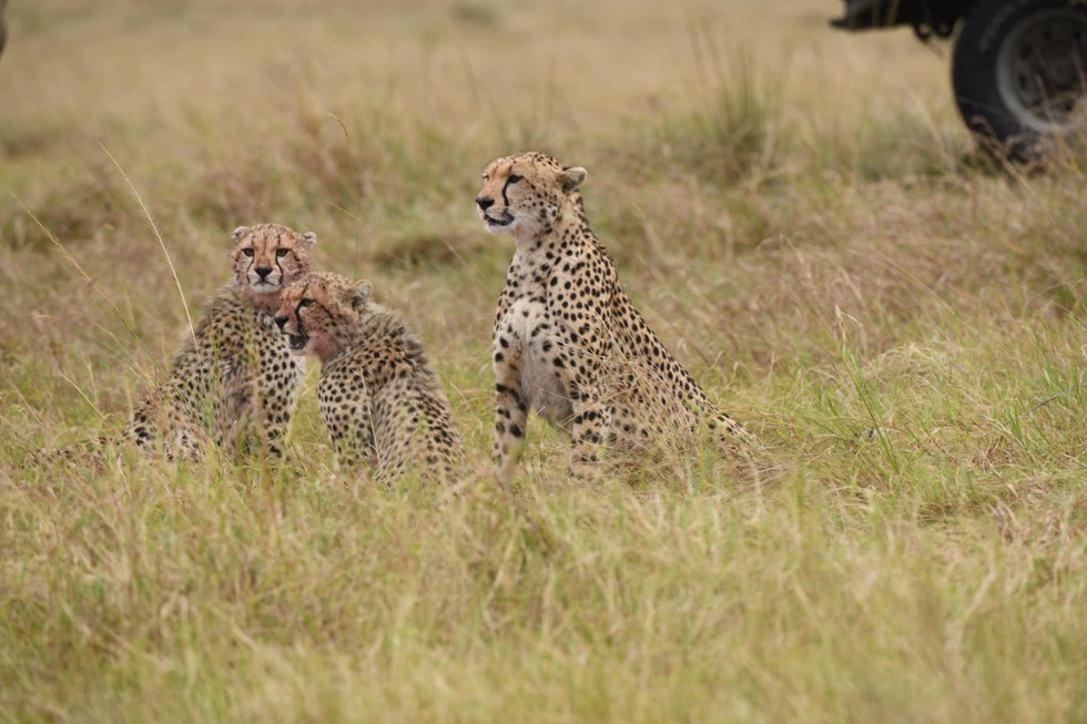 Nữ du khách Việt dành 3 triệu USD đi 104 quốc gia, 6 lục địa - 9 Nữ du khách Việt dành 3 triệu USD đi 104 quốc gia, 6 lục địa - 9