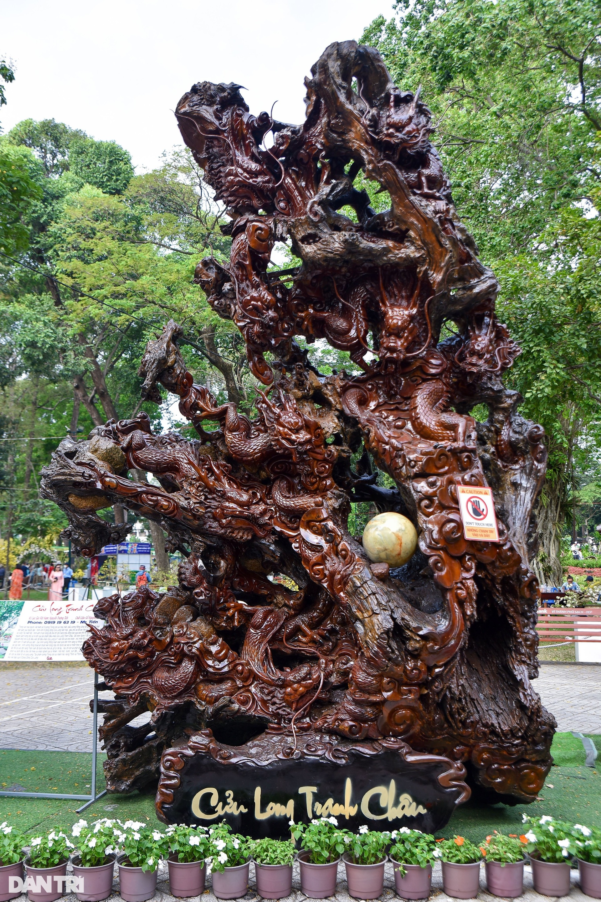 Choáng ngợp gỗ nguyên khối 4,5 tấn được điêu khắc hình rồng - 2 Choáng ngợp gỗ nguyên khối 4,5 tấn được điêu khắc hình rồng - 2