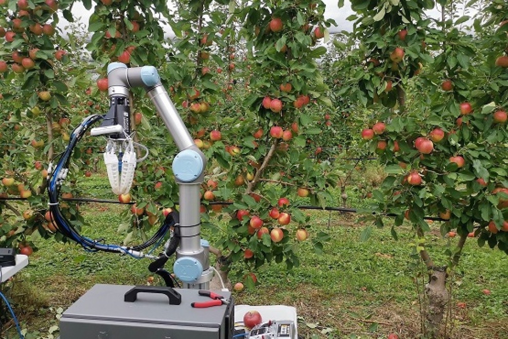 Tròn mắt với robot làm việc bất kể nắng mưa, hái táo chỉ 7 giây - 3 Tròn mắt với robot làm việc bất kể nắng mưa, hái táo chỉ 7 giây - 3