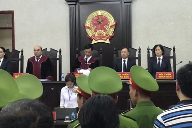 Mẹ nữ sinh giao gà lĩnh 20 năm tù