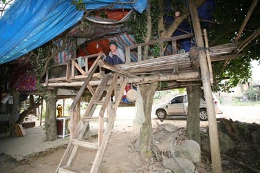 Kỳ dị người đàn ông làm nhà trên cây để cai nghiện