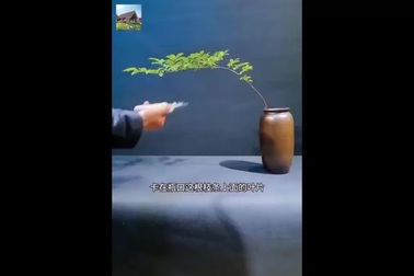 Những kiểu cắm hoa đơn giản nhưng đầy nghệ thuật