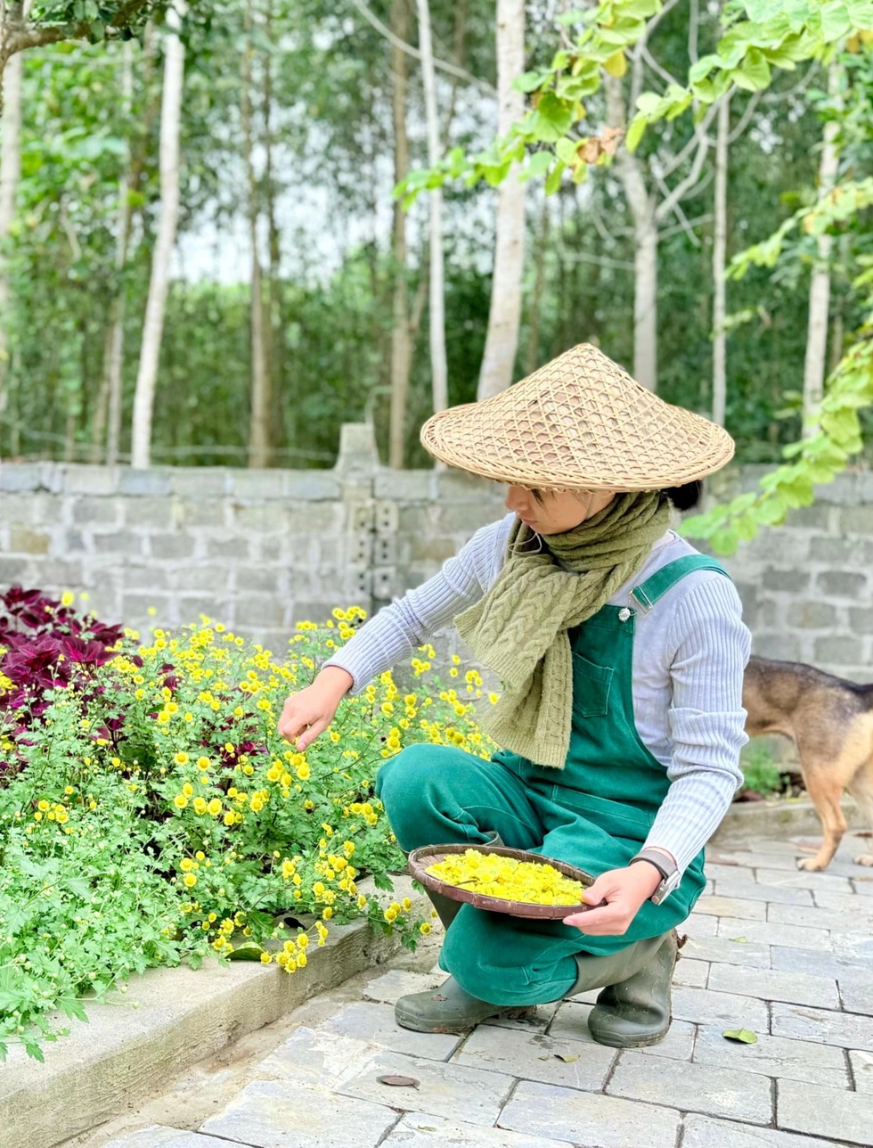 Sợ rau bẩn bụi mịn, vợ chồng ở Hà Nội mua 1.500m2 đất quê để nghỉ dưỡng - 6