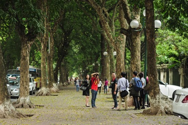 Hà Nội mùa lá rụng đẹp đến nao lòng