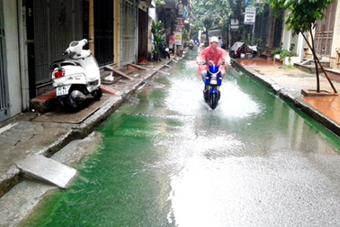 Xác định "thủ phạm" biến nước ngập thành màu xanh ở Tam Trinh