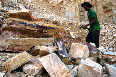 Ăn trên đá, ngủ trên đá, bỏ mạng vì đá