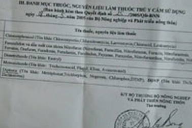 TPHCM dùng thuốc cấm để diệt bồ câu?