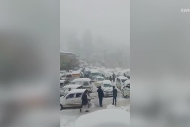 Đi ngắm tuyết rơi trở thành thảm kịch, 21 người chết cóng trong xe