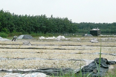 Uống nước bẩn, ngửi mùi hôi vì… “hàng xóm” chế biến mì