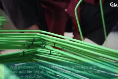 Cụ già gần 90 vẫn đi cấy,