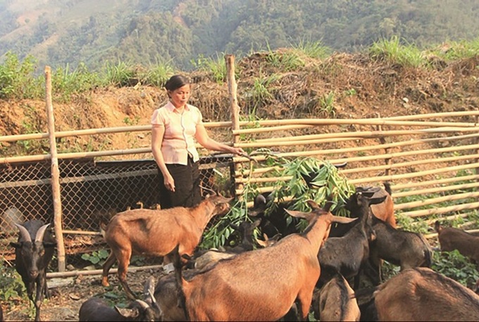 Nguồn vốn tín dụng chính sách giúp nhiều hộ gia đình thoát nghèo