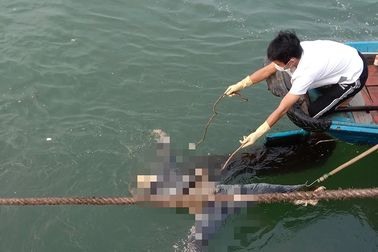 Ngư dân đi câu mực phát hiện thi thể trôi dạt vào cửa biển