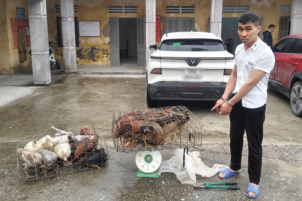 Đột nhập nhà dân trộm gần 40 con gà, ngan - 1 Đột nhập nhà dân trộm gần 40 con gà, ngan - 1