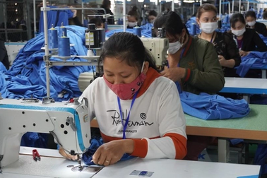 Hơn 500 công nhân bị nợ lương 4,2 tỷ đồng dịp Tết