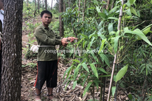 "Lạc lối" bên tình trẻ, người vợ cùng tình nhân sát hại chồng dã man