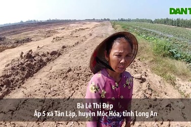 Long An: Ruộng lúa chết khô vì phèn từ hầm đất khai thác trái phép?