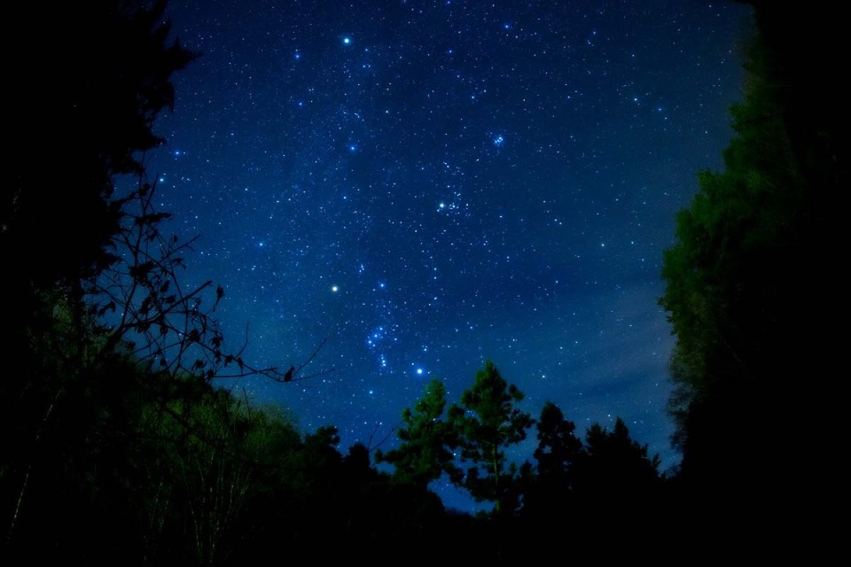 Star village. Звездное небо в лесу. Тихая ночь. Тихая ночь фото. Ночь тиха на темном небе.