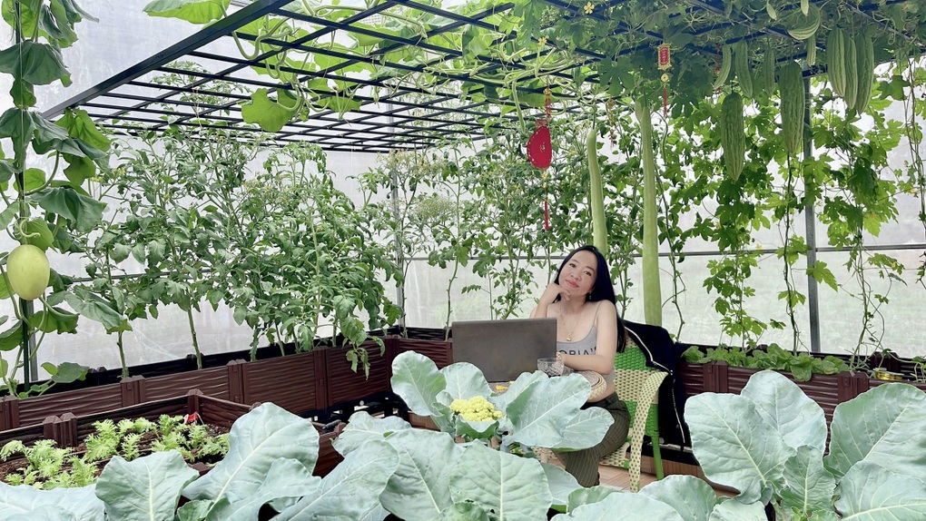 Vườn cảm biến, chăm qua điện thoại, tưới trứng sữa cho toàn quả khủng - 9